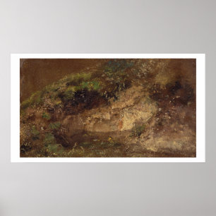Pôster Undergrowth, c.1821 (óleo no papel a bordo)