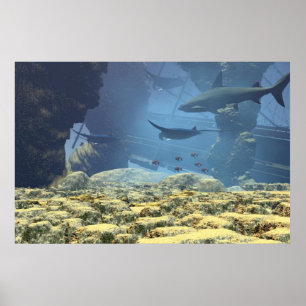 Poster underwater life Print