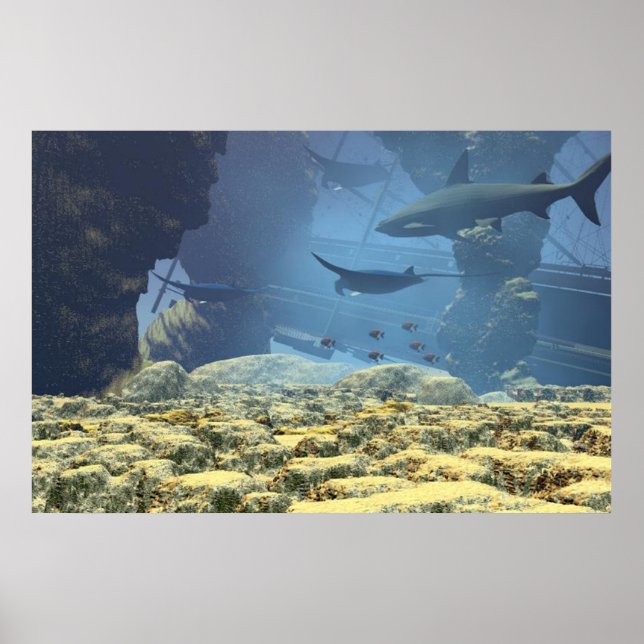Poster underwater life Print (Frente)