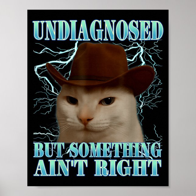 Poster Undiagnosed But Soing Ain't Right Funny Silly Cat  (Frente)