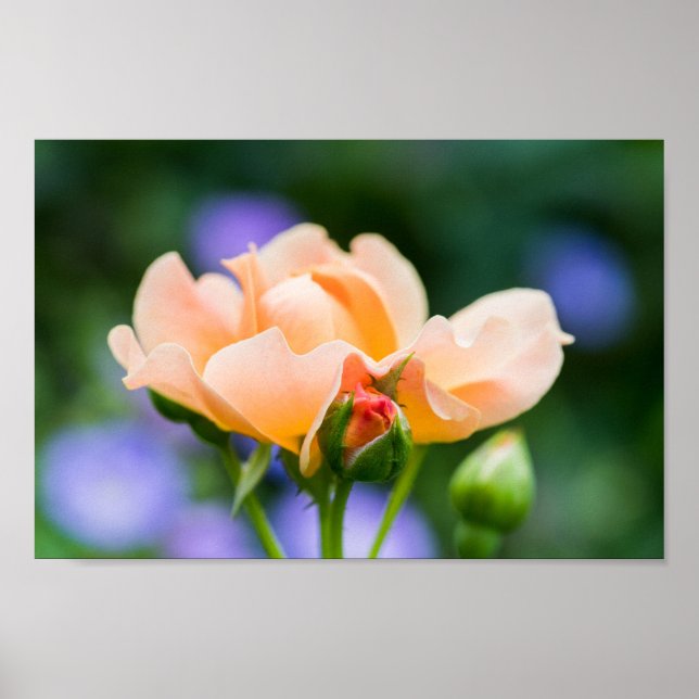 Poster unfolding desire (Frente)