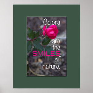 Poster Única fotografia de dobra do rosa do rosa