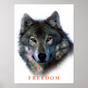 Poster único do Lobo da Liberdade Motivacional