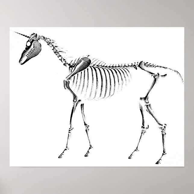 Pôster Unicorn Skeleton (Frente)