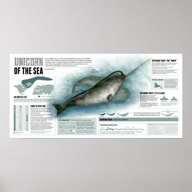 Pôster Unicórnio do Mar (Frente)