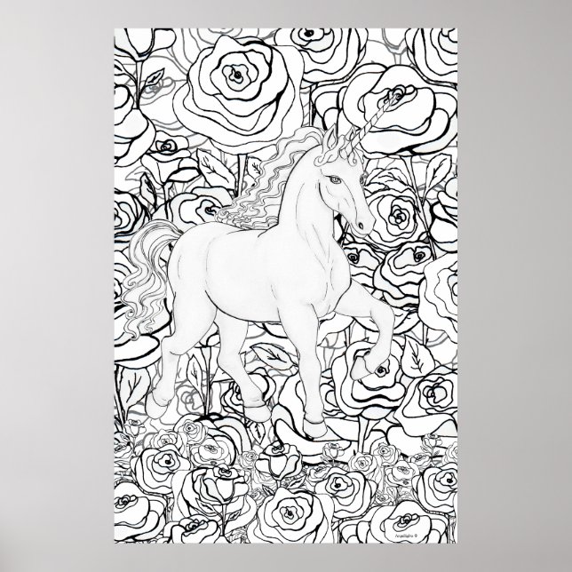 Poster Unicórnio Invisível (Frente)