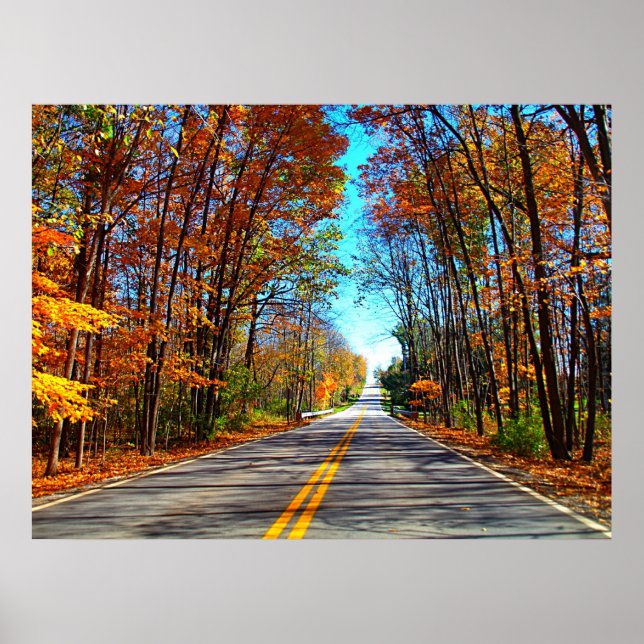 Pôster Unidade Censônica (Frente)