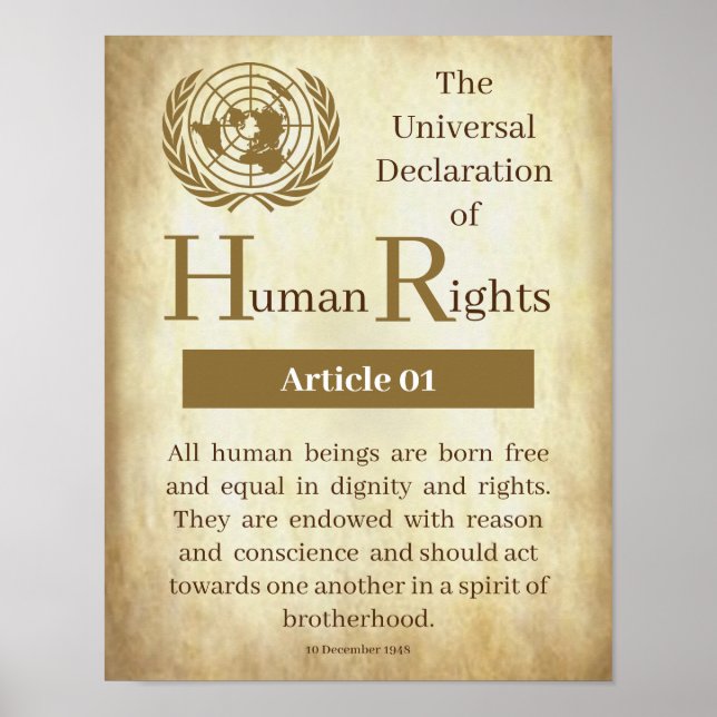 Poster Universal Declaration of Human Rights Article 01 (Frente)