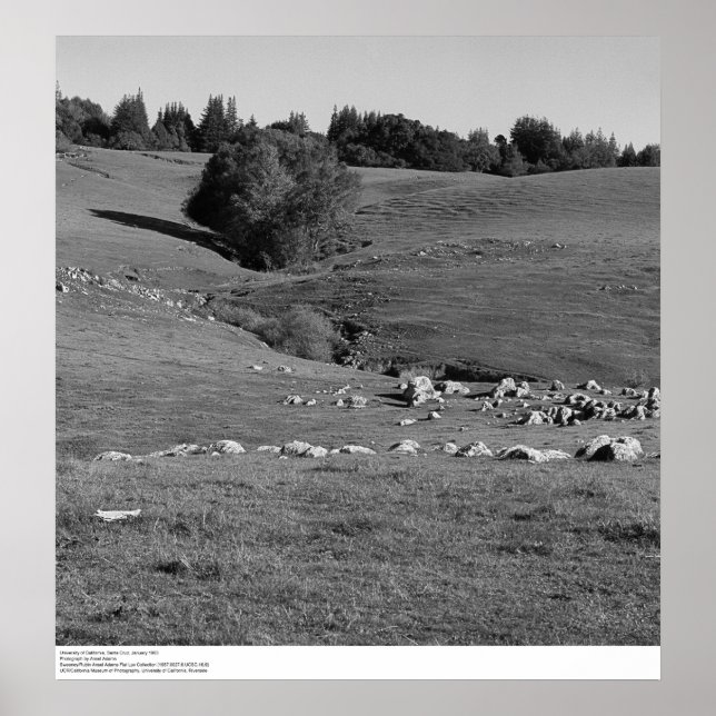 Poster Universidade da Califórnia, Papais noeis Cruz, 196 (Frente)