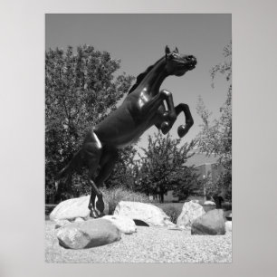 Poster Universidade ocidental de Michigan, Kalamazoo, MI