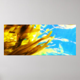 Pôster Untitled