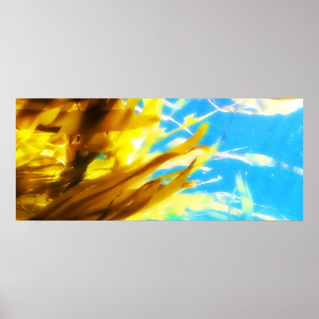 Pôster Untitled (Frente)