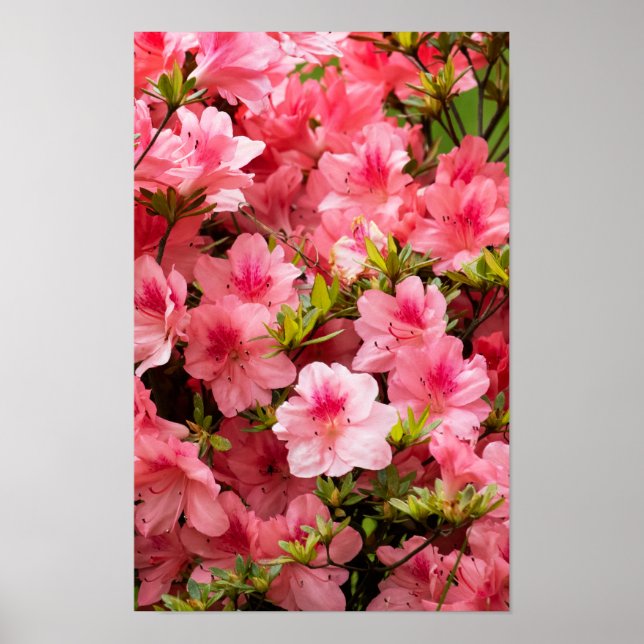 Poster Up Close (Frente)