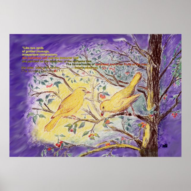 Poster Upanishad citou "duas aves" cor lápis (Frente)
