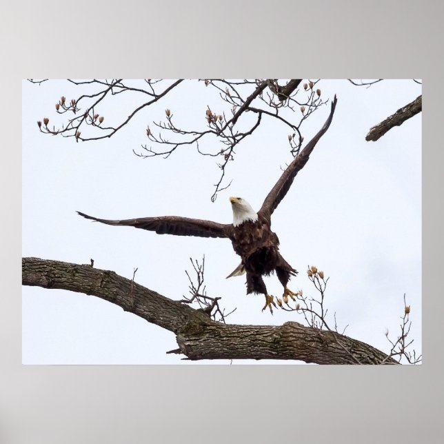Poster Uplifação (Frente)