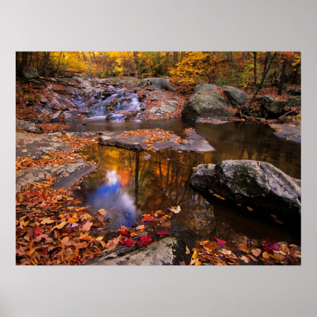 Poster Upper Whiteoak Falls, Parque Nacional de Shenandoa (Frente)