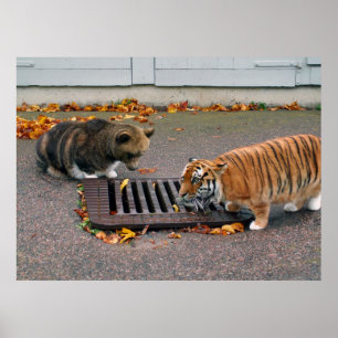 Poster urbano do waterhole