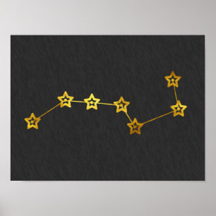 Poster Ursa Major