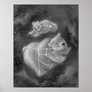 Poster Ursa Major e Ursa Menor Ursa Ursa Ursa