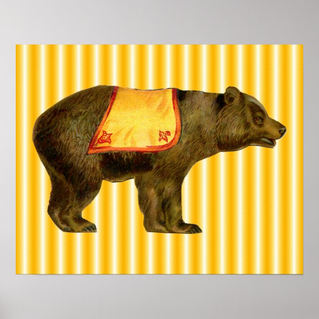 Pôster ursinho-circo vintage (Frente)