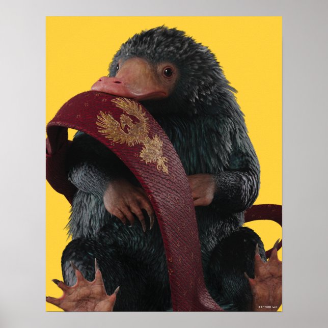 Poster Ursinho Com Gráfico De Gravação (Frente)