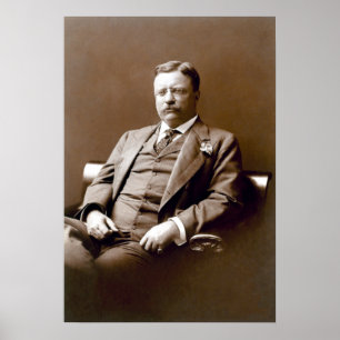 Poster Ursinho de Vintage, presidente Theodore Roosevelt