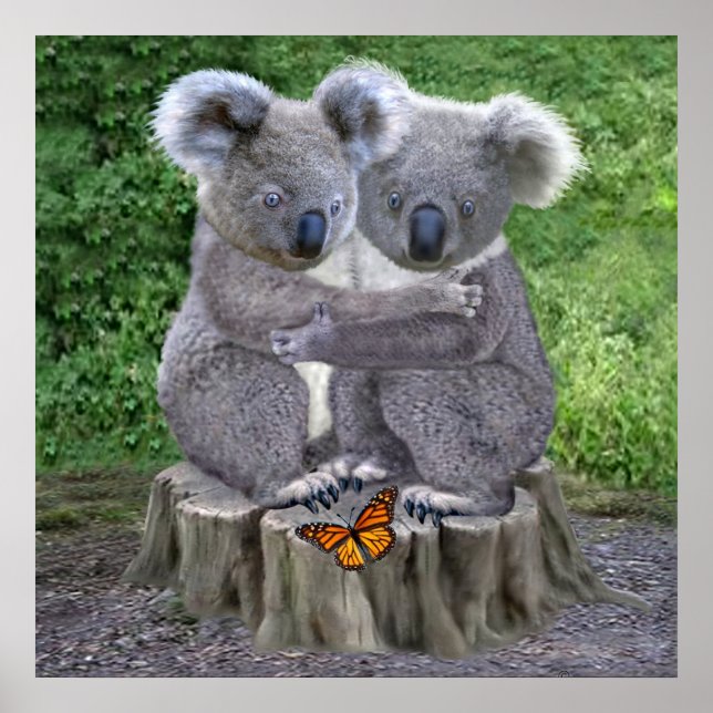 Poster Ursinho Koala Abraçadinhos (Frente)