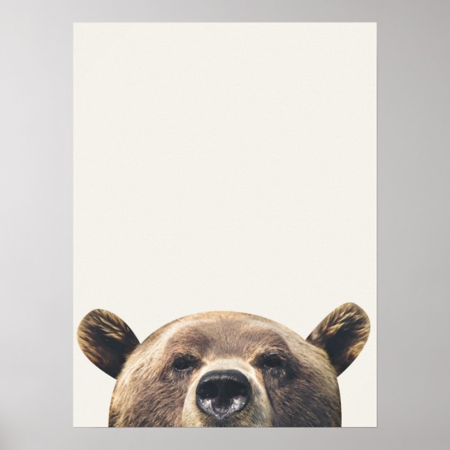 Poster Urso Animal (Frente)