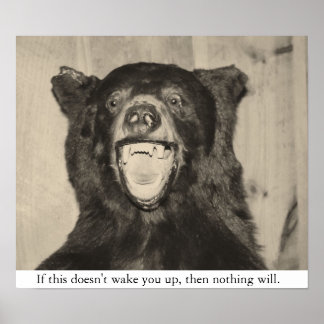 Pôster Urso Assustador