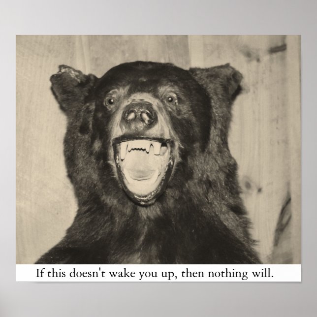 Pôster Urso Assustador (Frente)