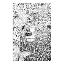 Urso Bravo