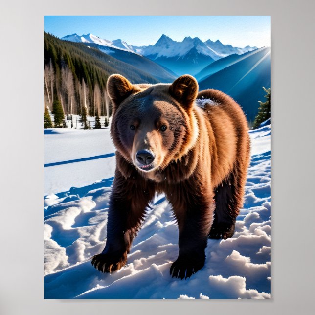Poster Urso Brown na Neve (Frente)