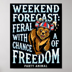 Poster Urso cinzento engraçado patriótico verão liberdade