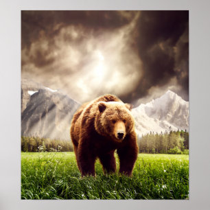 Poster Urso da montanha