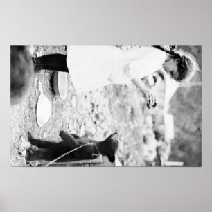 Poster Urso de alimentação Cub da menina em Seward