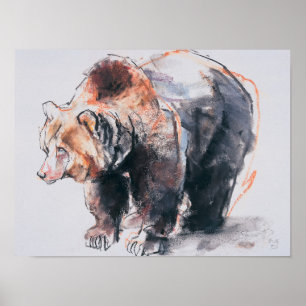 Poster Urso de Brown 2001 do europeu
