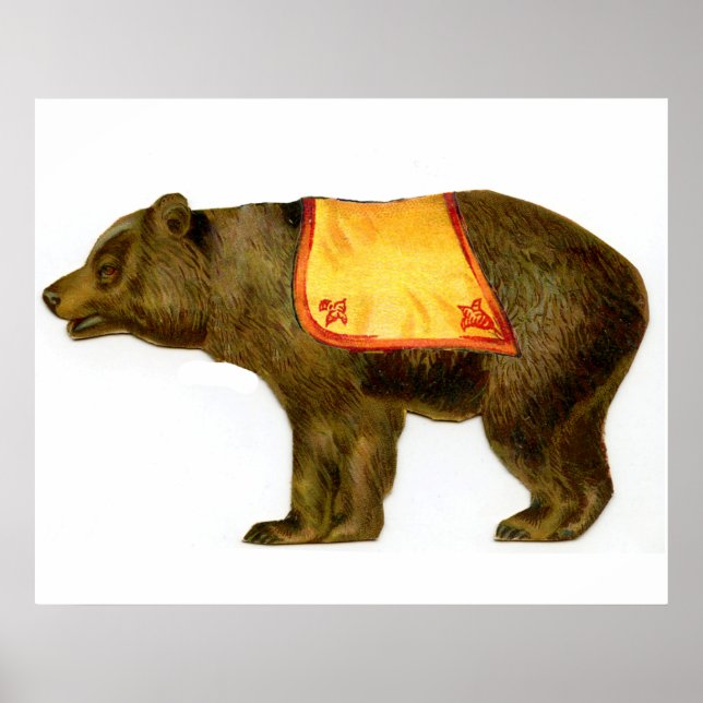 Poster Urso de espetáculo de circo (Frente)