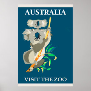 Poster Urso De Koala, Austrália, Visita A Viagens vintag