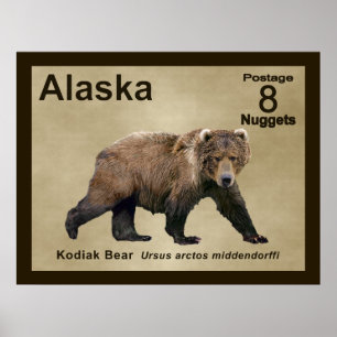 Pôster Urso de Kodiak