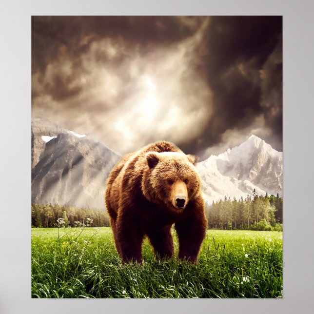 Poster Urso de Montanha (Frente)