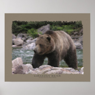 Pôster Urso de urso - Pastels