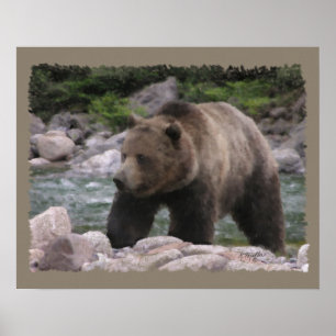 Poster Urso de urso - Pastels