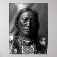 Urso do Corno Hollow