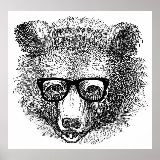 Poster Urso do hipster (Frente)