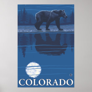 Poster Urso em MoonlightColorado