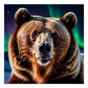 Pôster Urso Grizzly e Luzes do Norte