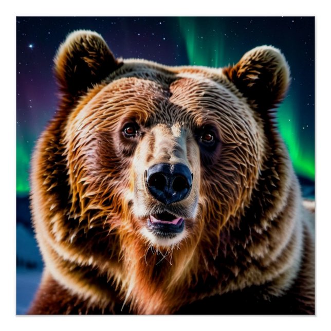 Pôster Urso Grizzly e Luzes do Norte (Frente)
