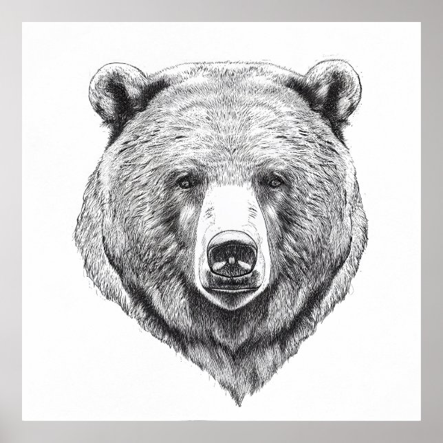 Poster Urso Grizzly Natureza Selvagem Arte Animal (Frente)