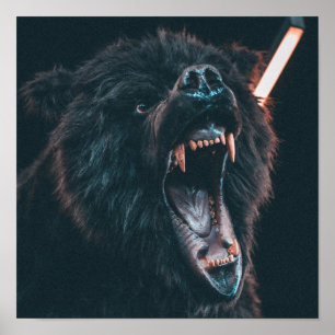 Poster Urso Irritado Dente Urso Negro