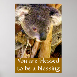 Pôster Urso Koala & Mensagem_